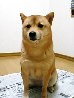 c0027470_019050.jpg