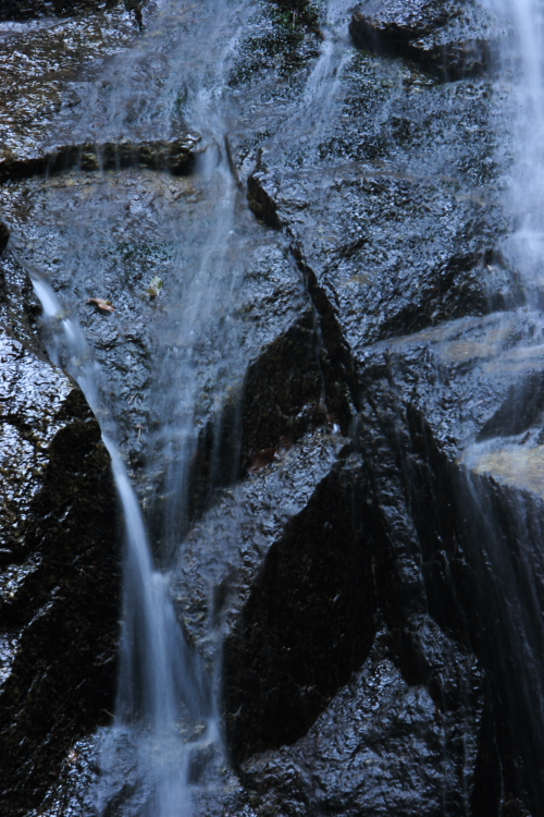 c0030874_122399.jpg