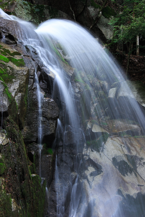 c0030874_6283613.jpg