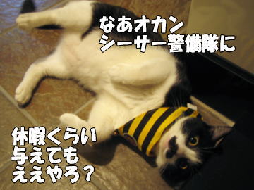 b0041182_235354100.jpg