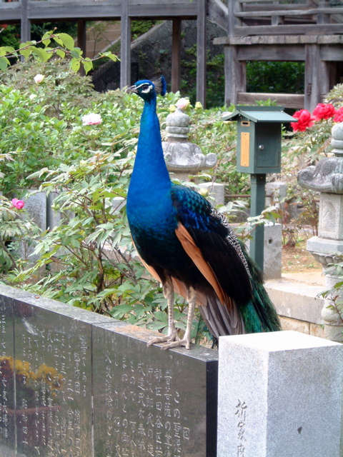 d0007585_14122372.jpg