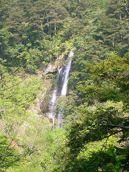 f0089285_025269.jpg