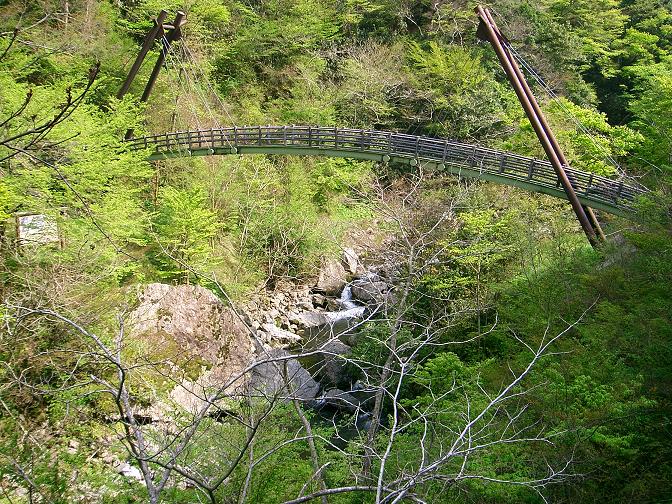 f0089285_026579.jpg