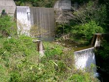 f0089285_052425.jpg