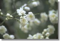 f0015391_1304737.jpg