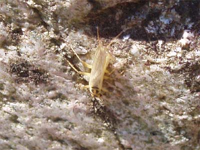 a0043395_1659471.jpg