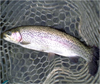 d0026200_11272619.jpg