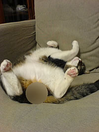 c0035001_22525924.jpg