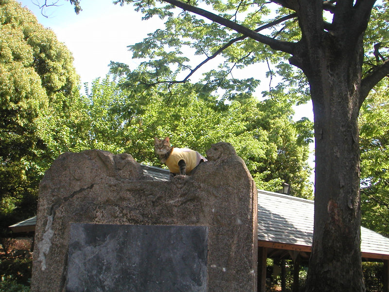 e0031605_18554870.jpg