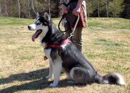 e0001110_23333377.jpg