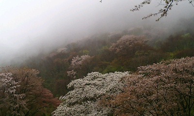 b0051713_17365530.jpg