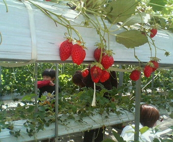f0063920_2110961.jpg