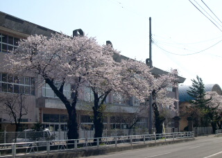 d0068023_17571696.jpg