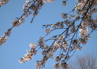 d0068023_180137.jpg