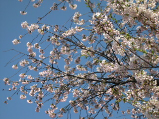 d0068023_1802880.jpg