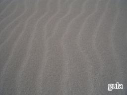 a0024829_2135230.jpg