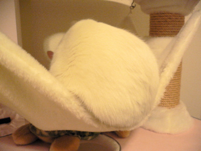 f0073833_038066.jpg