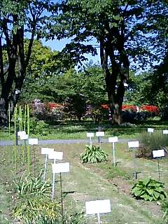 e0081334_22593254.jpg