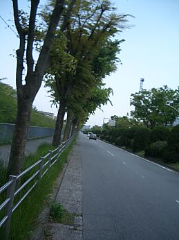 a0045636_0154943.jpg