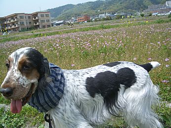 a0045636_022535.jpg
