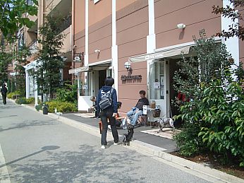 a0045636_0281687.jpg