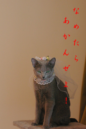 c0006748_5302989.jpg