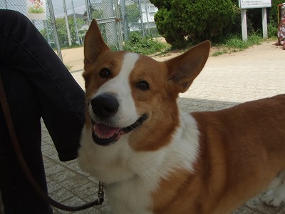 f0068649_142474.jpg