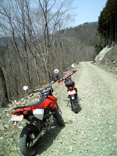 a0052952_20123096.jpg