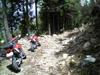 a0052952_20125976.jpg