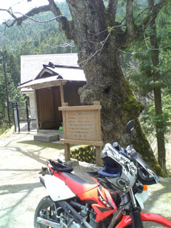 a0052952_20134144.jpg