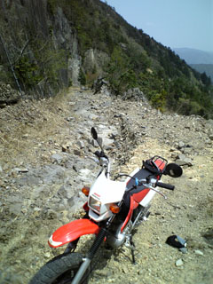 a0052952_20135263.jpg