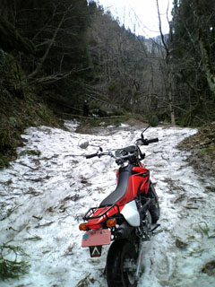a0052952_20144940.jpg