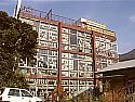 a0034453_22334629.jpg