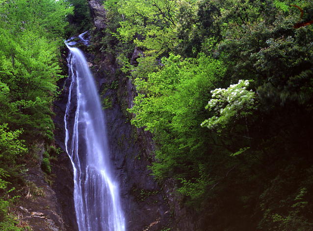 b0083855_23155160.jpg