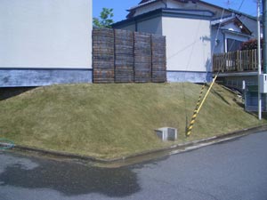 c0051759_1657227.jpg