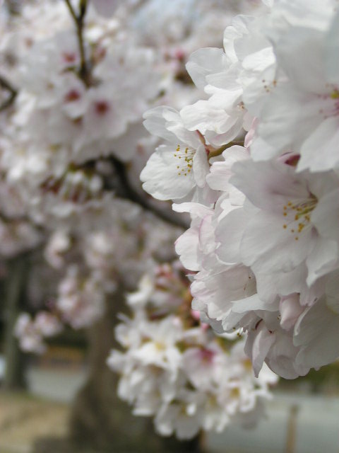 f0074659_0481230.jpg