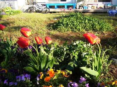 b0015260_6545712.jpg