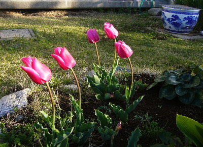 b0015260_6551086.jpg