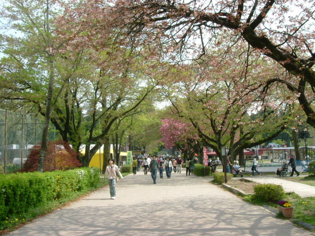 f0038665_0483018.jpg