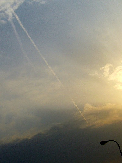 b0080789_0465131.jpg