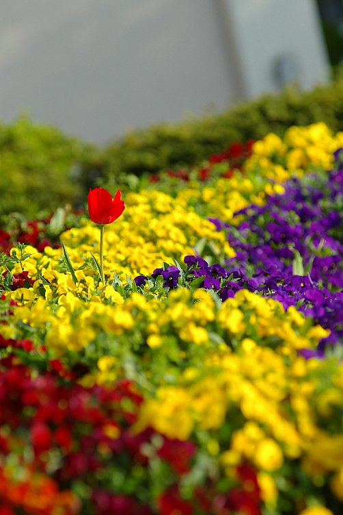 a0030792_15133997.jpg