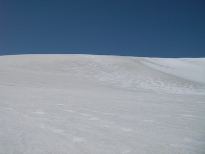 a0043193_21532530.jpg