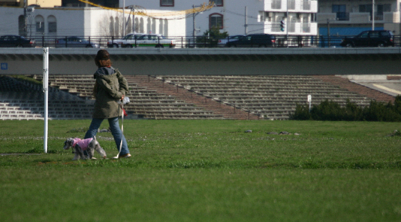 f0001895_15255050.jpg