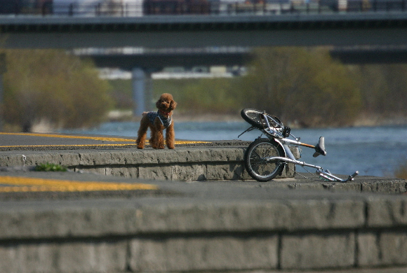 f0001895_1525745.jpg