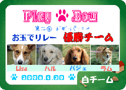f0077097_238043.gif