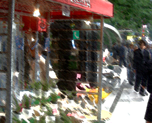d0018299_1921638.jpg