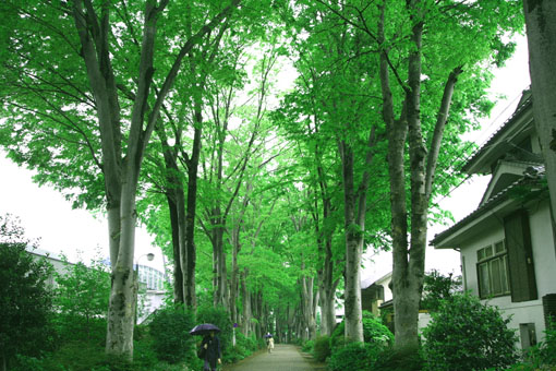 e0054299_123935.jpg