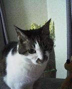 e0006700_2372552.jpg