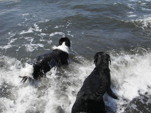 f0034602_20132233.jpg