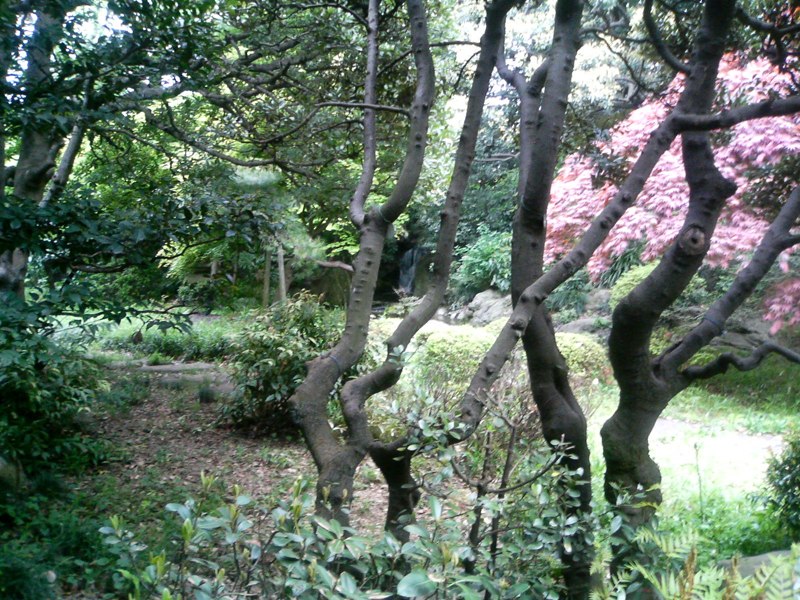 f0097503_13294414.jpg